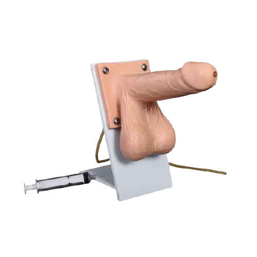 Simulador - Uso de condón masculino