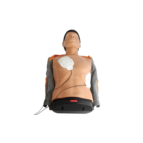 Torso Ambu Man Basico para BLS/SBV