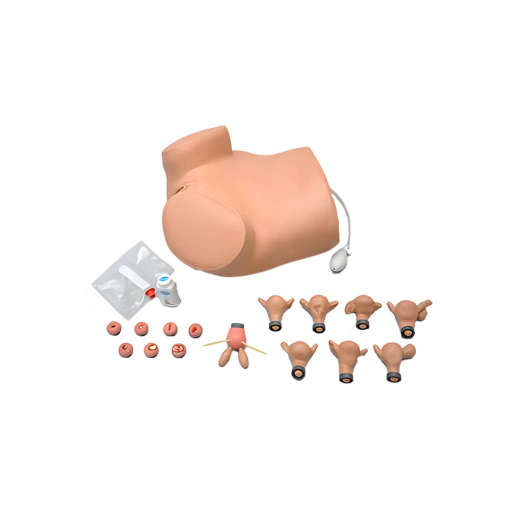Simulador de entrenamiento ginecológico