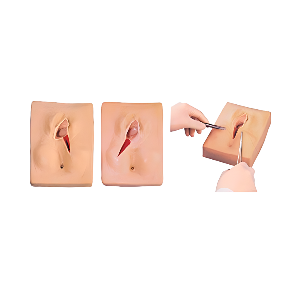 Simulador de entrenamiento de sutura de vulva