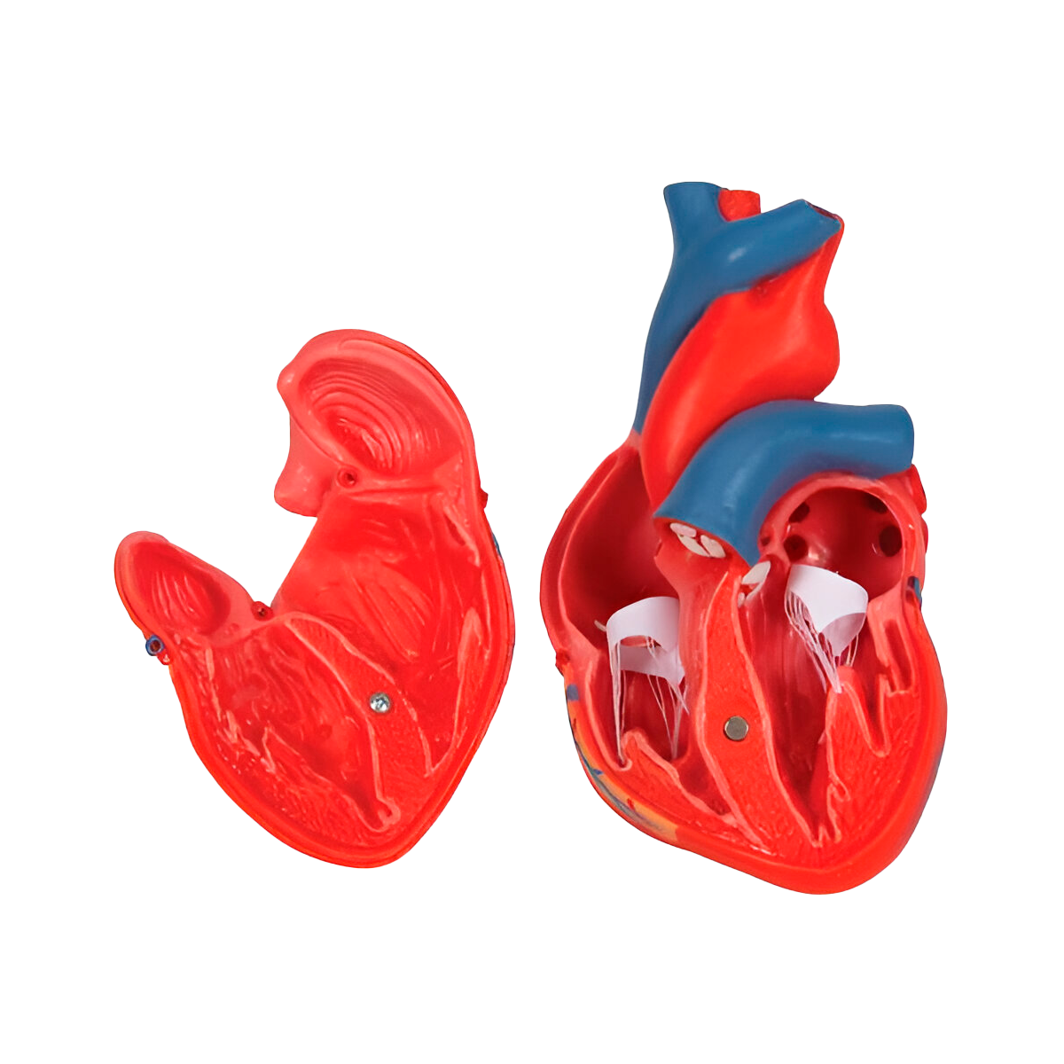 Corazón clasico de 2 piezas