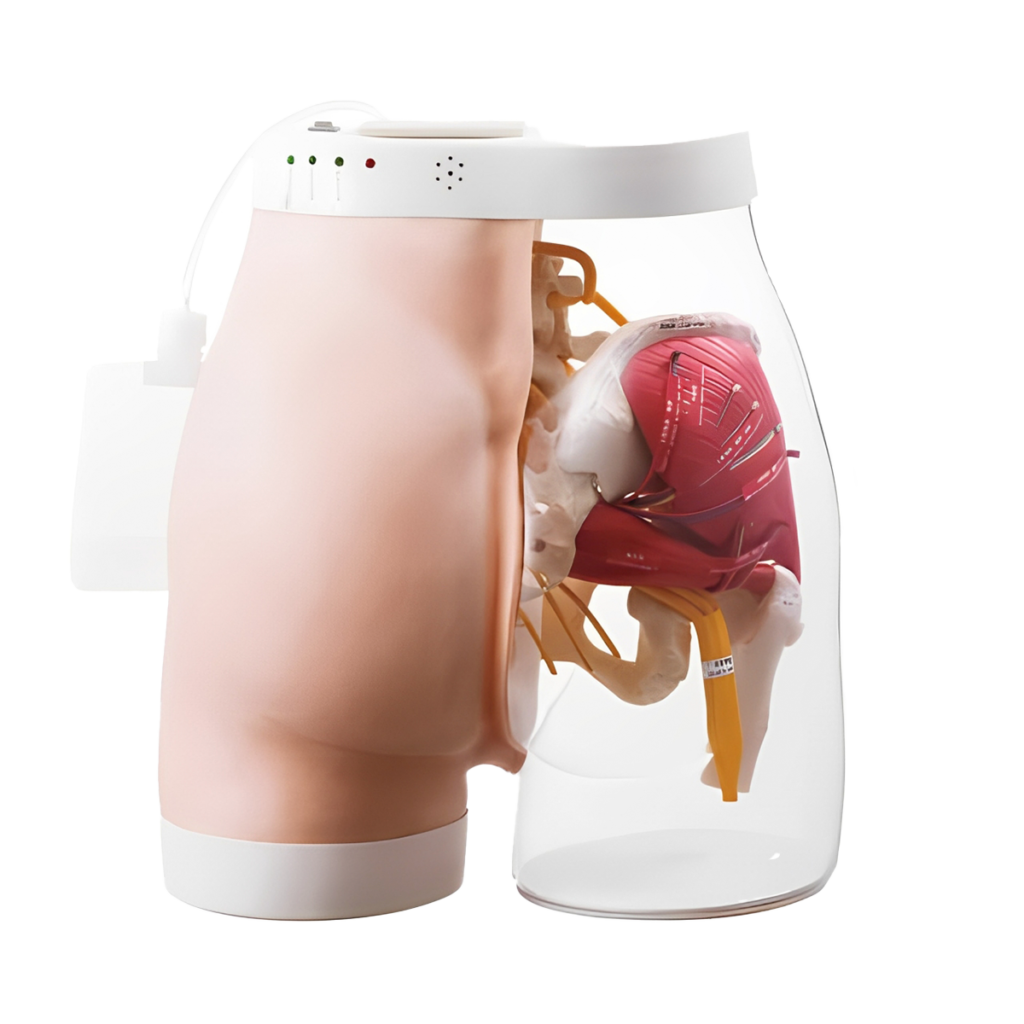 Modelo de inyección de gluteos