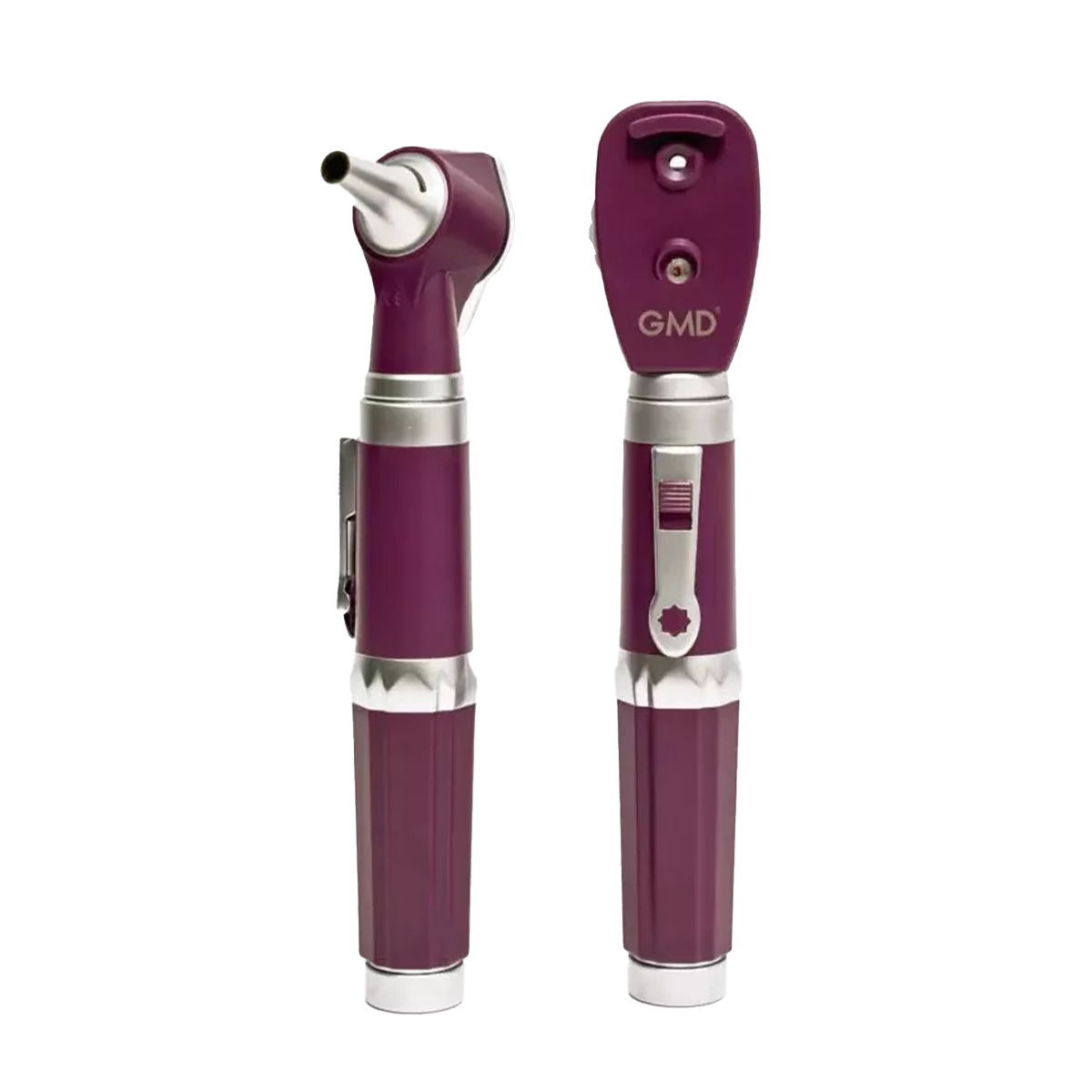 Kit de organos y sentidos de fibra optica GMD – morado Kit de organos y sentidos de fibra optica GMD - morado