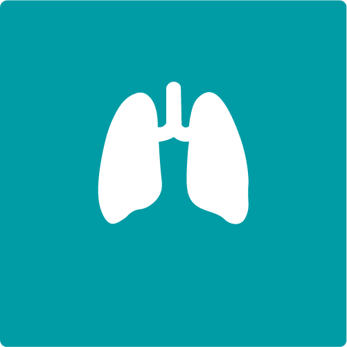 Terapia respiratoria